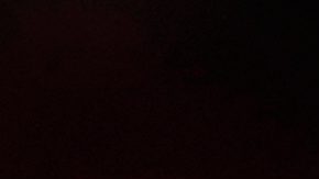 Casemiro, jugador del Manchester United quedará libre tras el Mundial.