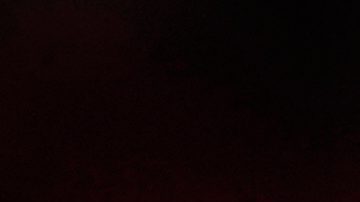 Casemiro, jugador del Manchester United quedará libre tras el Mundial.