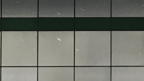 Caucus Hispano cuestiona nueva política de la SBA que restringe préstamos a migrantes