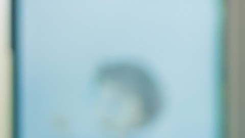 Casi 80% de las mujeres en Nueva York enfrenta interrupciones laborales por el cuidado infantil