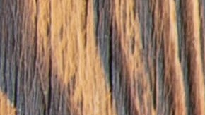 Alternativas seguras al papel de aluminio: Cambiar a materiales como la biocerámica o el papel vegetal evita la migración de metales pesados a tus alimentos.