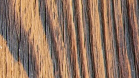 Alternativas seguras al papel de aluminio: Cambiar a materiales como la biocerámica o el papel vegetal evita la migración de metales pesados a tus alimentos.