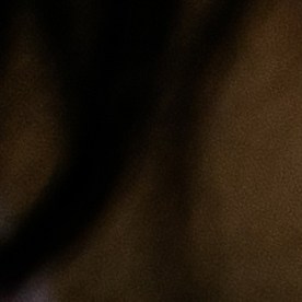 comida-congelada-gasto-ahorro