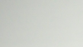 Cuando las cáscaras de maní se descomponen desprenden carbono, un componente esencial para equilibrar los residuos orgánicos húmedos.