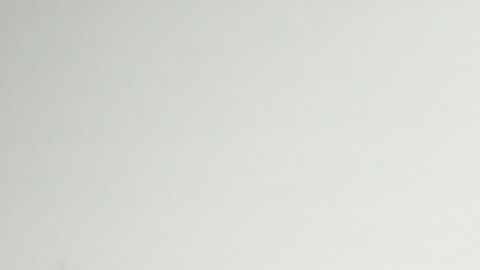 Cuando las cáscaras de maní se descomponen desprenden carbono, un componente esencial para equilibrar los residuos orgánicos húmedos.