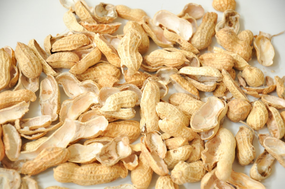 Si tienes cáscaras de maní, tienes un tesoro: para qué sirven en casa