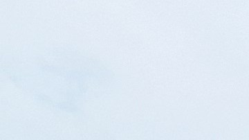 Regresa la diversión a Coney Island con la reapertura de sus atracciones.