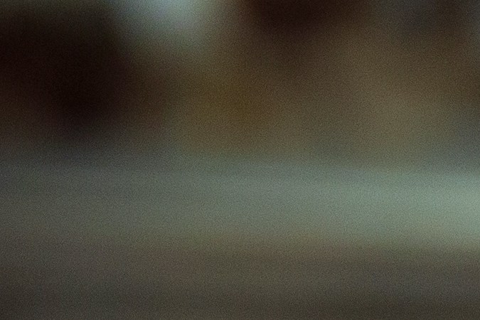 El secreto de los expertos: los cortes más económicos como el brisket o el round son los que mejor absorben los sabores en cocciones largas.