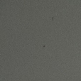 costco-comprar-sin-membresia