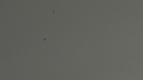 costco-comprar-sin-membresia