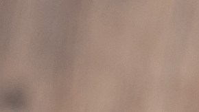 La FDA ha incluido más de 10 sabores en el retiro de Clase 1, desde versiones clásicas hasta tofu batido y queso crema de vegetales. Si usted adquirió este formato en Brooklyn, Queens o el Bronx, verifique el lote antes de consumirlo o servirlo en su negocio para evitar infecciones graves.