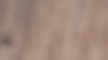 La FDA ha incluido más de 10 sabores en el retiro de Clase 1, desde versiones clásicas hasta tofu batido y queso crema de vegetales. Si usted adquirió este formato en Brooklyn, Queens o el Bronx, verifique el lote antes de consumirlo o servirlo en su negocio para evitar infecciones graves.