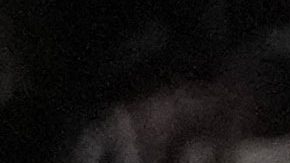 Gervonta Davis busca recuperar lo que no ganó con Jake Paul.