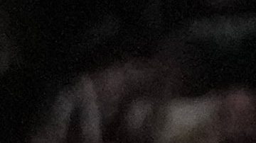 Gervonta Davis busca recuperar lo que no ganó con Jake Paul.