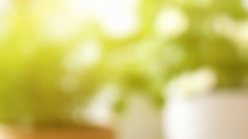 Alimentos saludables como salmón, ensalada, frutas y frutos secos en cocina moderna