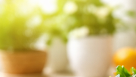 Alimentos saludables como salmón, ensalada, frutas y frutos secos en cocina moderna