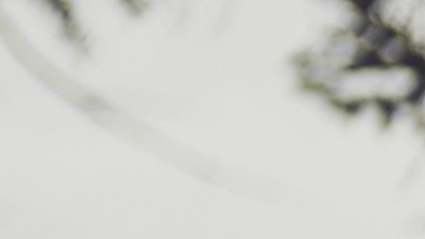 discapacidad-pago-seguro-social-1-de-abril-994