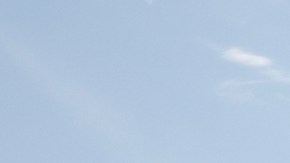 La Casa Blanca se burla de protestas y las tilda de terapias por “el trastorno Trump”