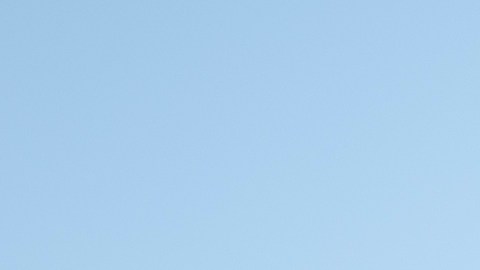 empleo-carpintero-supervisor-436-dolares