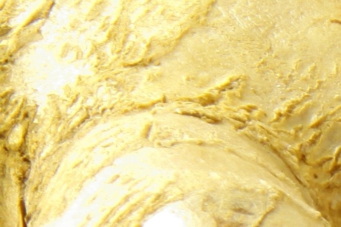 Variedad de especias sobre fondo blanco