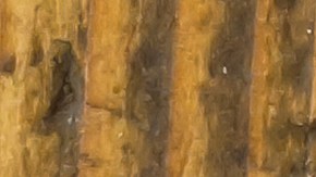 estafa de alquiler en línea