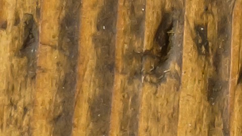 estafa de alquiler en línea