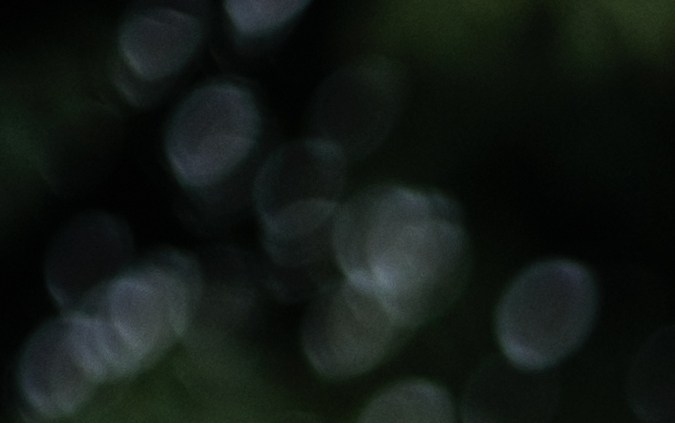 examen de manejo dmv