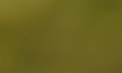 aprobar examen práctico