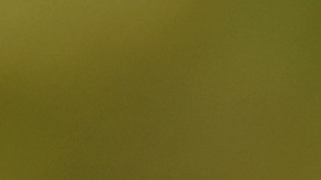 aprobar examen práctico