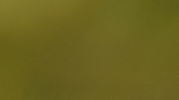 aprobar examen práctico