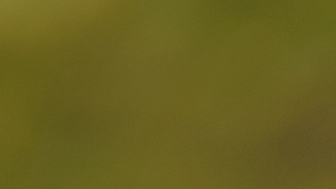 aprobar examen práctico