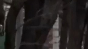 Policía de Nueva York descarta amenaza tras hallazgo de objeto sospechoso cerca de la residencia de Mamdani