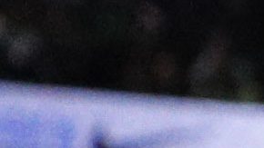 Fans de San Antonio Spurs.