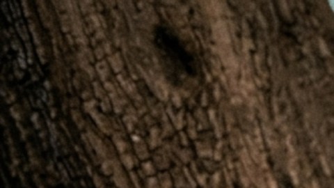 El Evangelio de Lucas describe a Jesús en un estado de profunda angustia emocional mientras oraba la noche previa a su arresto y crucifixión.