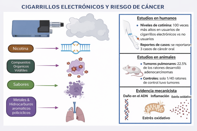 infografia cigarrillos electronicos riesgo cancer vapeo daño adn inflamacion salud pulmones estudio