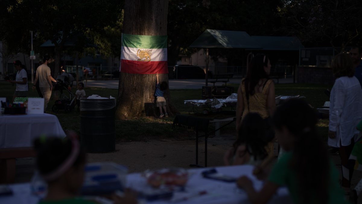 Irán ejecuta al campeón de lucha de 19 años Saleh Mohammadi