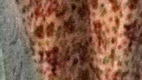 COI se pronunció sobre ejecución de atleta iraní.