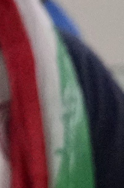 Las aficionadas iraníes al fútbol celebran durante el partido del grupo B de la Copa Mundial entre Irán y Estados Unidos.