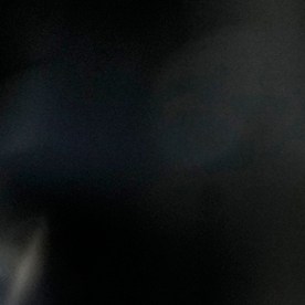 Brasil prohíbe la entrada a asesor de Trump que quería visitar a Jair Bolsonaro en prisión