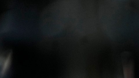 Brasil prohíbe la entrada a asesor de Trump que quería visitar a Jair Bolsonaro en prisión