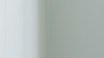 Tener un perro en Suecia no se limita a cubrir necesidades básicas como comida y agua, sino que incluye el bienestar físico y emocional.