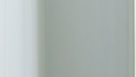 Tener un perro en Suecia no se limita a cubrir necesidades básicas como comida y agua, sino que incluye el bienestar físico y emocional.