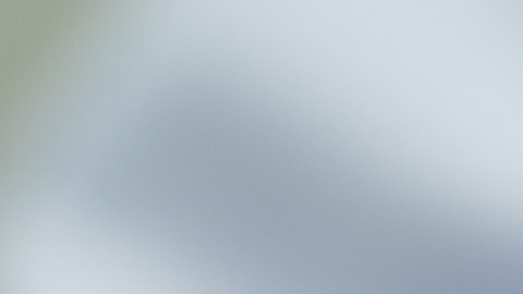 Acumular líquido en los pulmones puede deberse a infecciones como la neumonía, exposición a toxinas y por el consumo de algunos medicamentos.