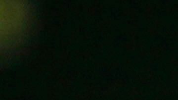 El entrenador de Notre Dame, Lou Holtz.