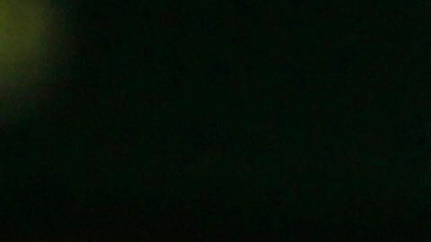 El entrenador de Notre Dame, Lou Holtz.