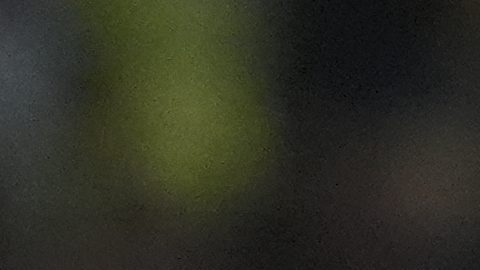 El portero Luis Malagón del América de México se perderá el Mundial 2026.