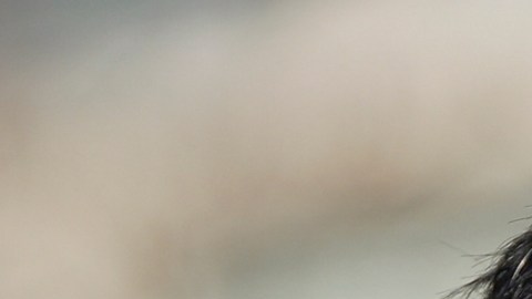 Fotos de archivo del alcalde de Nueva York, Zohran Mamdani, y del activista Mahmoud Khalil.