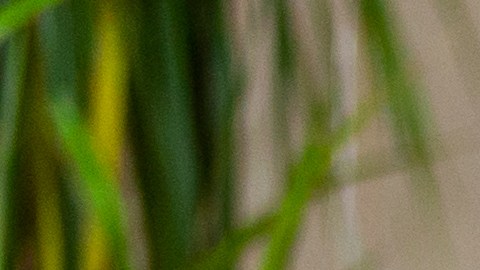 El lado derecho del cuerpo alberga varios órganos importantes: los pulmones, la vesícula biliar, el páncreas, el apéndice, el colon y los riñones.