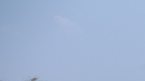 México asegura que su capacidad de respuesta supera a la de los grupos criminales