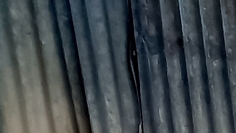 Existen negocios que suelen comprar una moto vieja por su valor en metal o por las piezas que aún pueden reutilizarse.